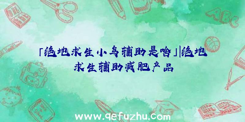 「绝地求生小鸟辅助是啥」|绝地求生辅助减肥产品